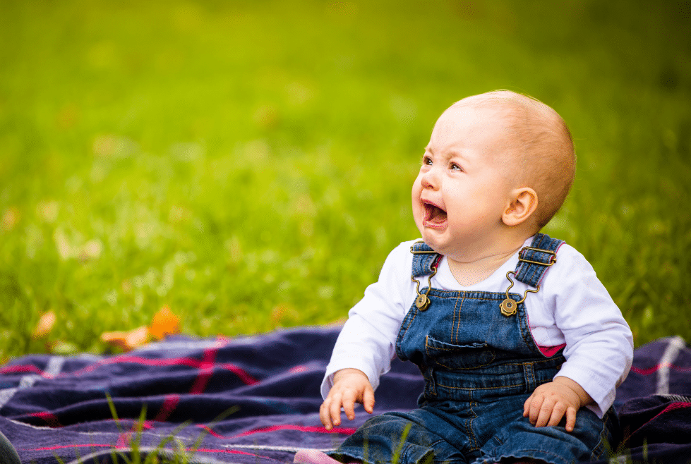 kindje in een grasveld op een paars kleed gekleed in een wit shirt met tuinpak terwijl ze huilt en naar links kijkt en laat zien hoeveel temperament ze heeft