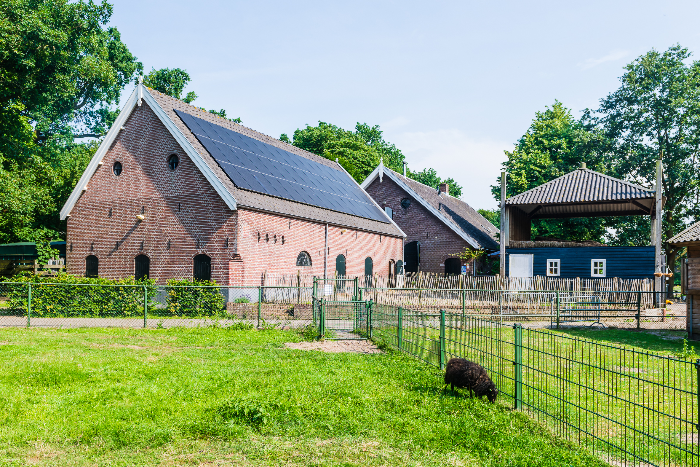 kinderboerderij de brink in zeist voor activiteiten met kinderen 