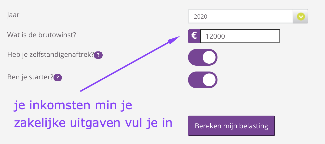 stappenplan belasting gastouder wat houd je over na belasting rekentool zzp nanny gastouder aan huis