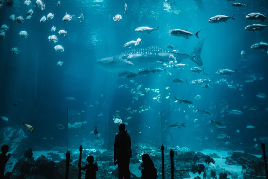 drie mensen in een aquarium